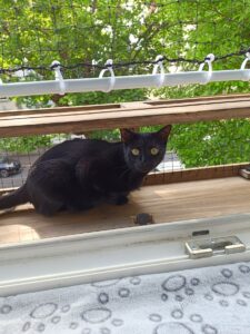 Sourya s'est installée sur la plateforme d'observation et profite de la vue.