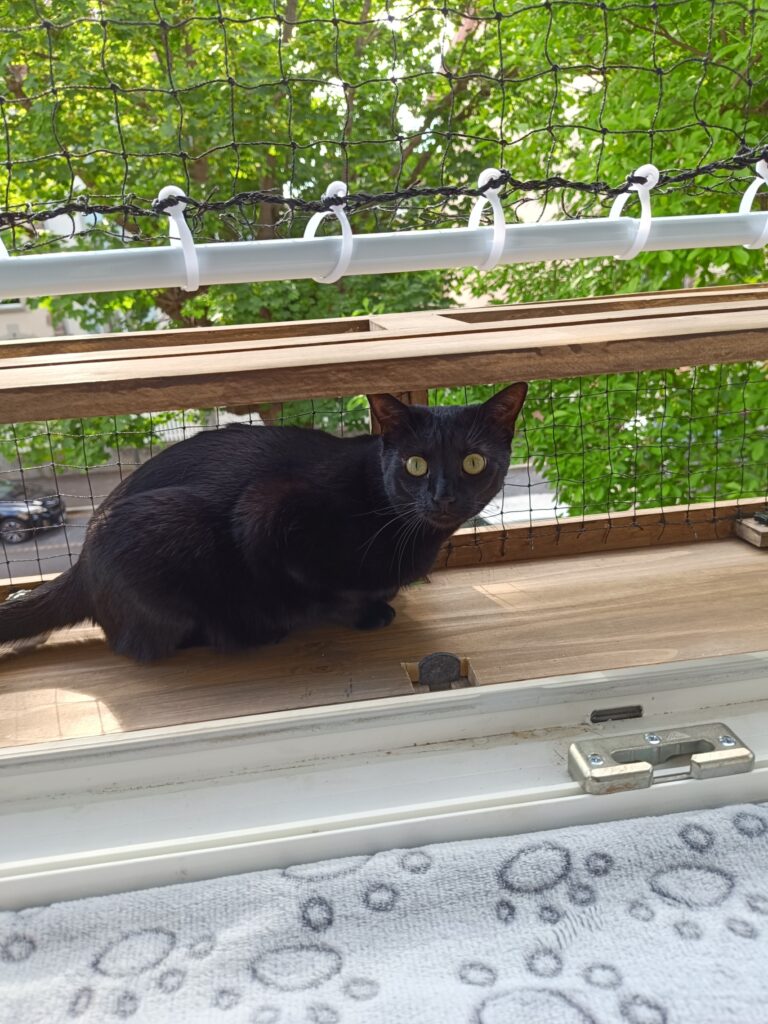 Sourya s'est installée sur la plateforme d'observation et profite de la vue.