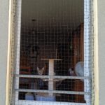 Fenêtre équipée d’un filet de protection, empêchant toute fuite. Solution idéale pour aérer sans risque.