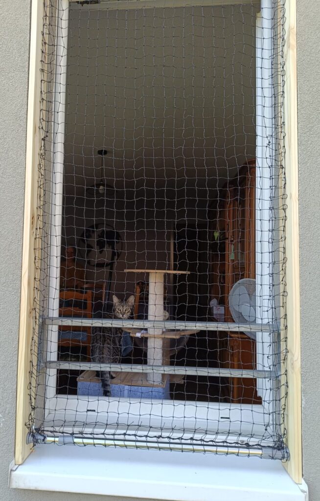 Fenêtre équipée d’un filet de protection, empêchant toute fuite. Solution idéale pour aérer sans risque.