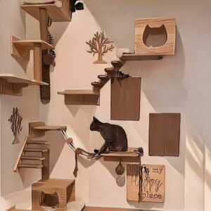 Parcours personnalisé