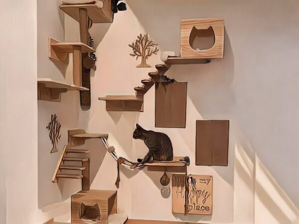 Parcours personnalisé