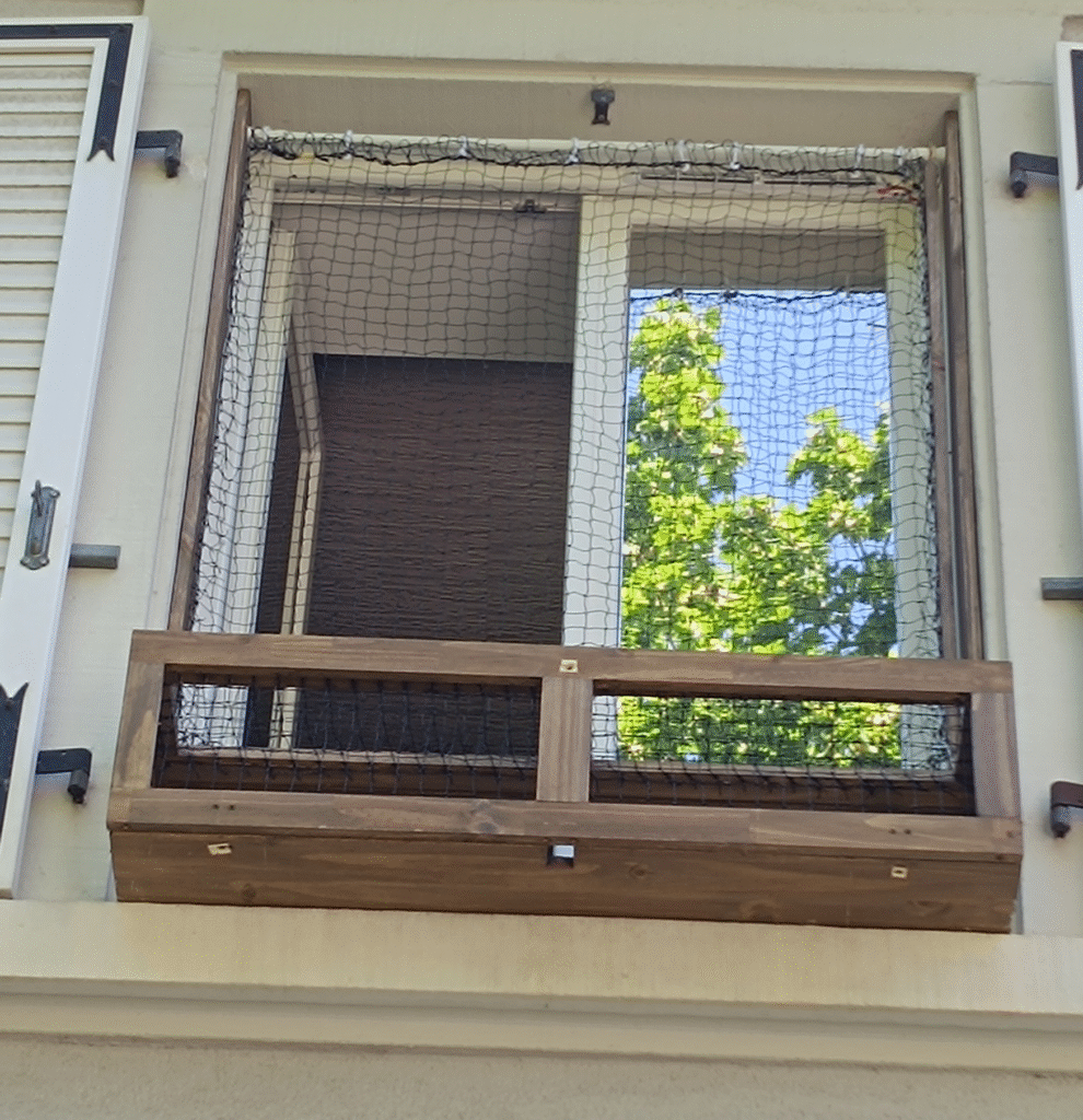 Photo de la plateforme d'observation vue de l'entrée de l'immeuble