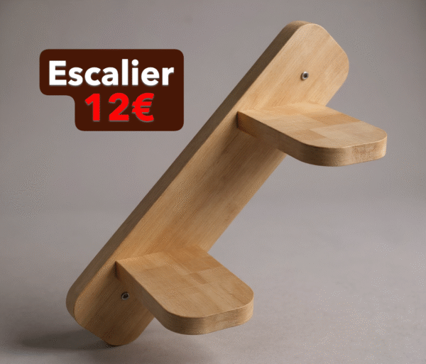 Escalier de 2 marches montant vers la gauche