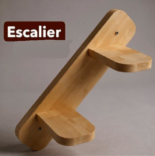 Parcours personnalisé