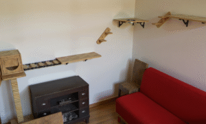 Parcours mural à partir d'un arbre à chat contenant des étagères et des escaliers