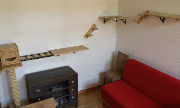 Parcours mural à partir d'un arbre à chat contenant des étagères et des escaliers