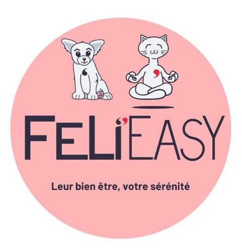Sac de transport / Panier Feli'Easy