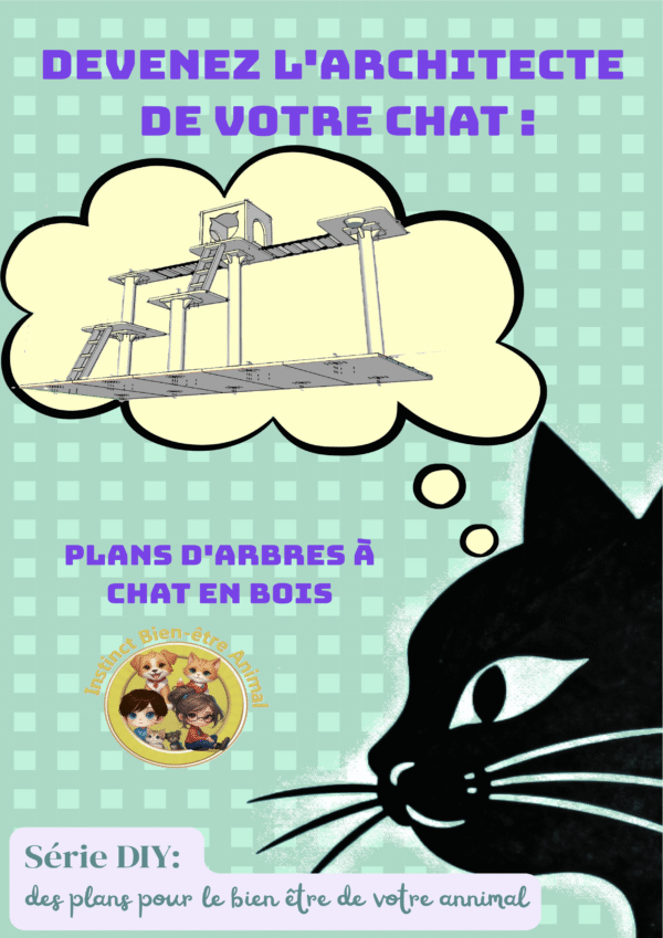 Devenez l'architecte de votre chat