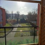 Catio_3