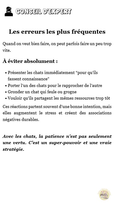Extrait_11 E-book "Adopter un chat"