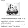 Extrait_2 E-book "Adopter un chat"