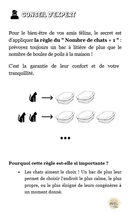 Extrait_3 E-book "Adopter un chat"