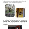 Extrait_4 E-book "Adopter un chat"