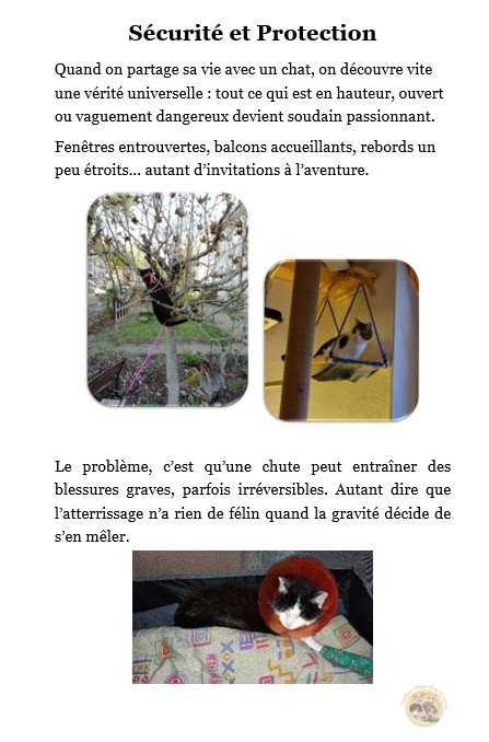 Extrait_4 E-book "Adopter un chat"