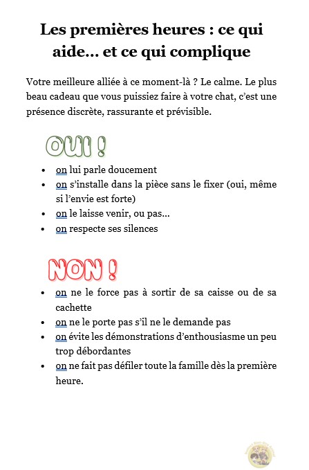 Extrait_9 E-book "Adopter un chat"