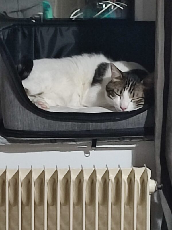 Sac de transport / Panier Feli'Easy