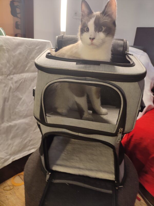 Sac de Transport Double