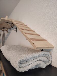 IMG_20260124_101703