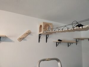 IMG_20260124_113459