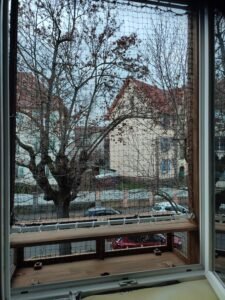 IMG_20260210_165605