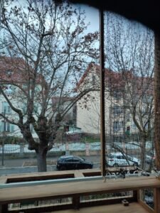 IMG_20260210_165640