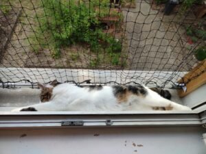 IMG_20230610_185716