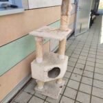 IMG_20251218_123532