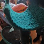 IMG_20260115_134253