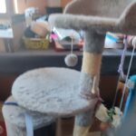 IMG_20260115_134321