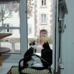 IMG_20221108_072702