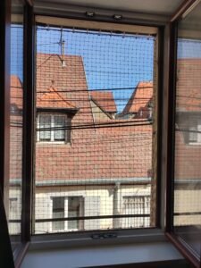 IMG_20260429_103302