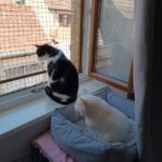 image0000011d