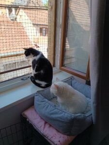 image0000011d