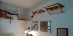 IMG-20221027-WA0004