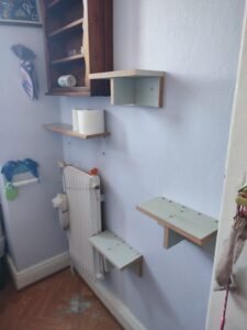 IMG_20260525_163626