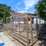 4) Second catio.