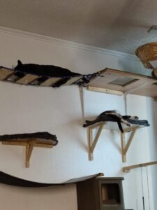 IMG_20260712_180615